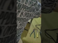 866 เด็ก รถไฟฟ้า